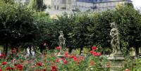 Rosengarten in der Residenz Bamberg